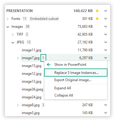 slidewise-multiple-image-instances.png