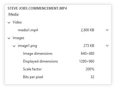 inspector-vide.png