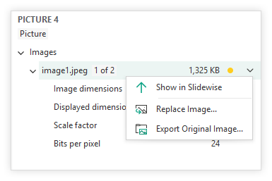 inspector-image-actions-final.png
