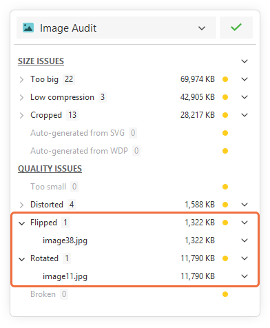 final-image-audit-flipped-rotated.png